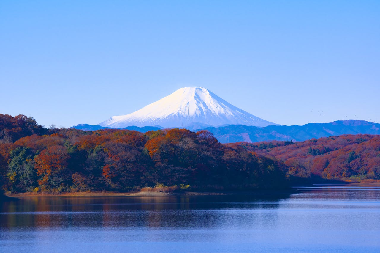 visto permanente no japao